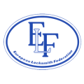 european-locksmith-federation-logo-2.png